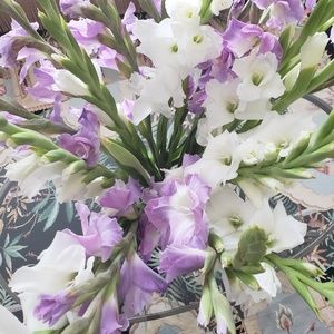 Meet your Posher, Sally